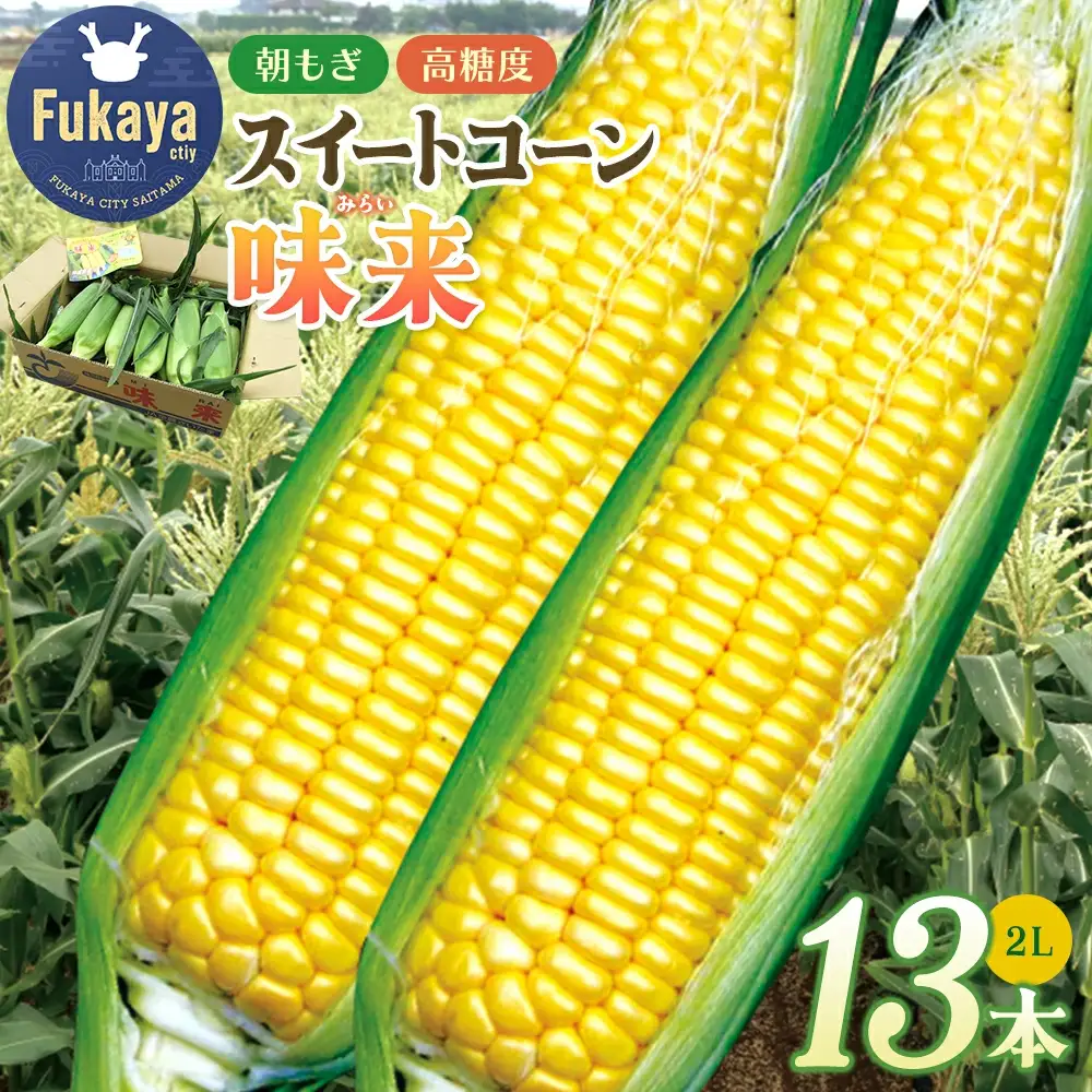 フルーツみたいなスイートコーン【味来（みらい）】13本　【11218-0140】