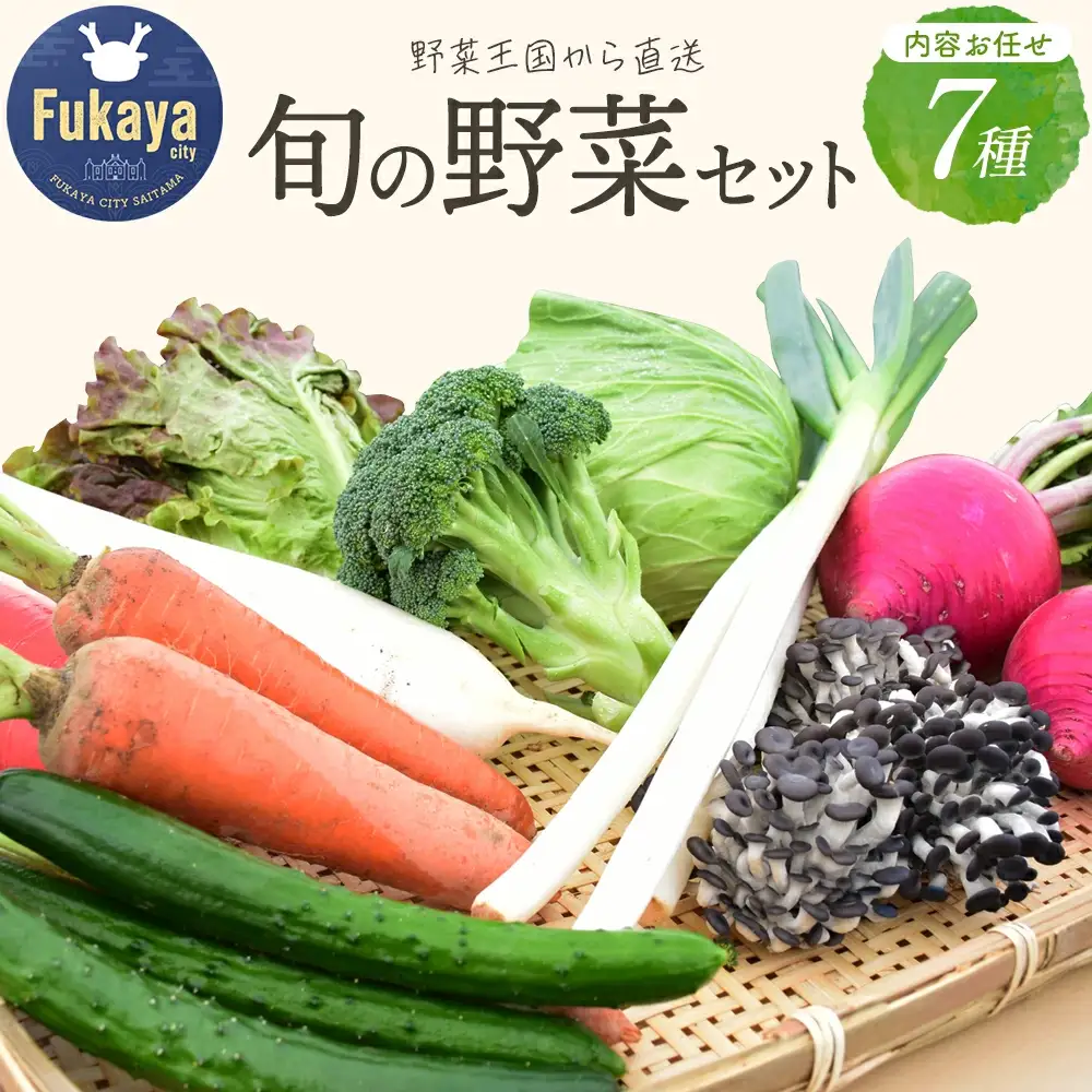 旬のラッキー7野菜セット（野菜7種詰合せ）【11218-0114】