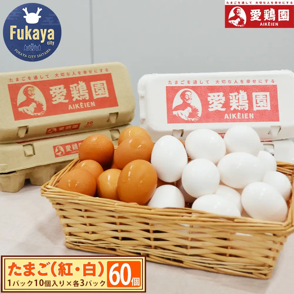 愛鶏園　紅白たまご60個　【11218-0037】