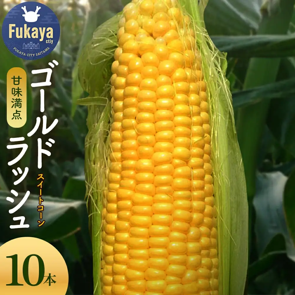 ＜先行予約＞【6・7月出荷】農家直送！とうもろこし（ゴールドラッシュ）10本箱詰め　【11218-0293】