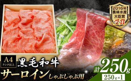 厳選 くまもと黒毛和牛 しゃぶしゃぶ用 サーロイン 250g 《30日以内に出荷予定(土日祝除く)》熊本県 大津町 和牛焼肉LIEBE くまもと黒毛和牛 サーロイン ロース しゃぶしゃぶ 冷蔵 リーベ
