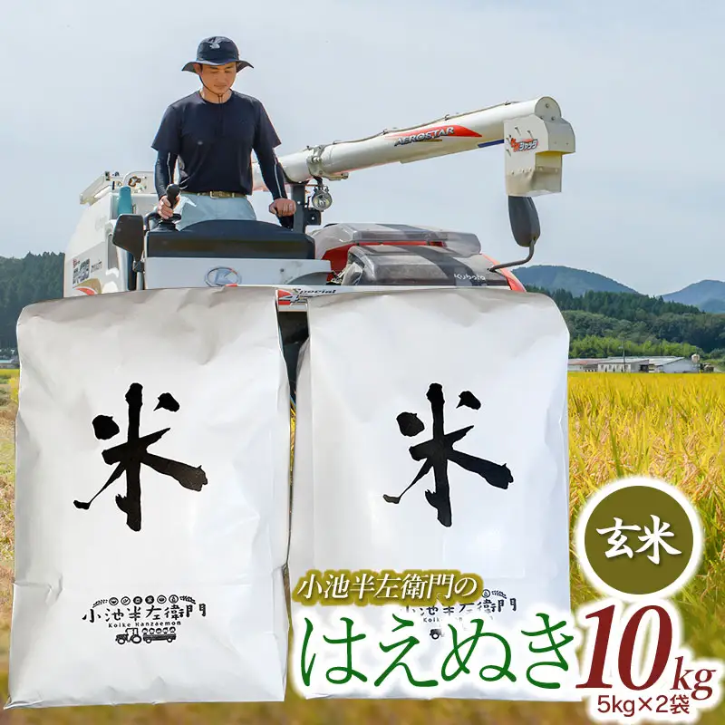 数量限定 【令和7年産】 山形県庄内産 小池半左衛門のお米 はえぬき 玄米 10kg (5kg×2袋)