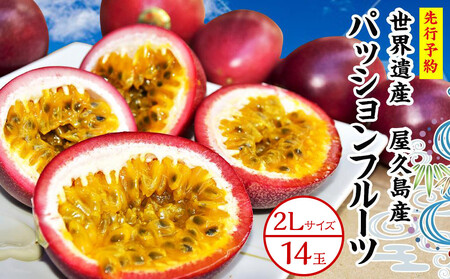 【2026年発送先行受付】絶品パッションフルーツ2L玉（14玉）“屋久島の恵み”と“愛情”込めて！