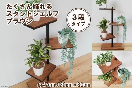 たくさん飾れるスタンドシェルフ 3段タイプ ブラウン(天然木／完成品) [0401]