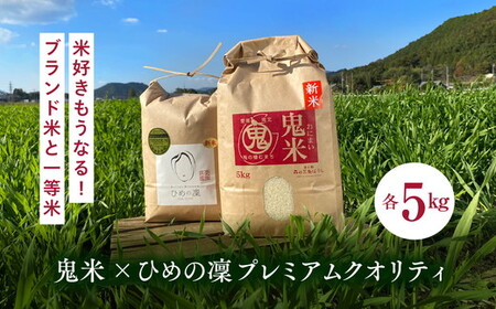 【先行予約】【R8年産】鬼米×ひめの凜（プレミアムクオリティ） 各5kg （計10kg） ｜ お米 お米不足 お米品薄 おいしい お米 事業者支援 送料無料 白米 精米 国産 限定 ごはん ご飯 白飯 ゴハン 愛媛県産 鬼北町 ※2026年10月～発送
