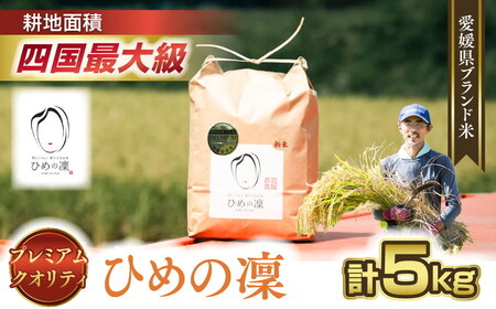 【先行予約】【R8年産】【愛媛県ブランド】ひめの凜 5kg（プレミアムクオリティ） ｜ お米 お米不足 お米品薄 おいしい お米 事業者支援 送料無料 白米 精米 国産 限定 ごはん ご飯 白飯 ゴハン 愛媛県産 鬼北町 ※2026年10月～発送