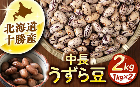 北海道 あしょろの中長うずら豆 1kg×2袋《足寄町》【党崎農場】[BEAA022]