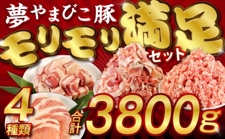 夢やまびこ豚肉モリモリ満足セット 3.8kg 豚肉