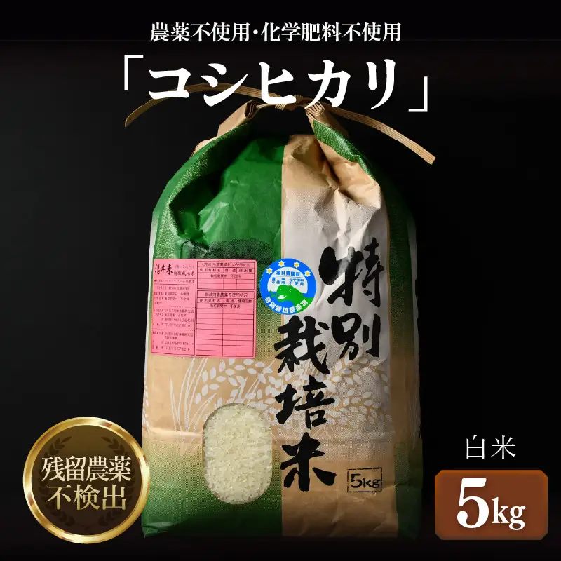 【先行予約】【令和8年産 新米】コシヒカリ 精米 5kg 特別栽培米 農薬不使用 化学肥料不使用 ／ 残留農薬ゼロ 高品質 鮮度抜群 福井県産 ブランド米 白米 ※2026年9月下旬より順次発送予定 [aw063-a012]