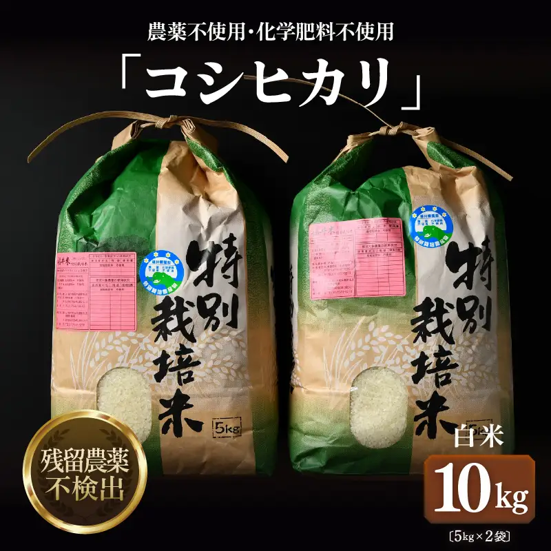 【先行予約】【令和8年産 新米】コシヒカリ 精米 5kg×2袋（計10kg） 特別栽培米 農薬不使用 化学肥料不使用 ／ 残留農薬ゼロ 高品質 鮮度抜群 福井県産 ブランド米 白米 ※2026年9月下旬より順次発送予定 [aw063-c009]