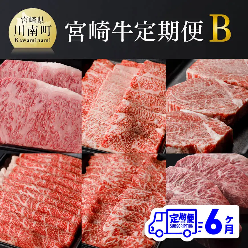 牛肉 【定期便】宮崎牛６ヶ月定期便Ｂ ミヤチク 牛肉