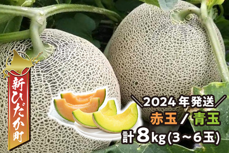 ＜ 2026年7月中旬より発送 ＞ 北海道産 メロン 赤肉 青肉 8kg 4～6玉 食べ比べ セット ＜ 予約受付 ＞