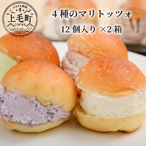 4種のマリトッツォ12個入り×2箱 _MP0203