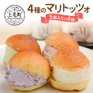 4種のマリトッツォ5個入り×4箱 _MP0403