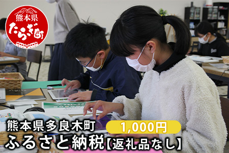 熊本県多良木町への寄附（返礼品はありません）【 ふるさと納税 熊本県 多良木町 応援 寄附 】028-0344