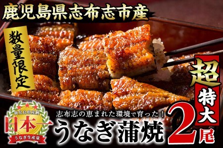 【数量限定】うなぎの大楠＜超特大＞2尾セット計380g以上(190g×2) うなぎ 鰻 ウナギ 2尾 国産 九州産 蒲焼き かばやき 冷凍 うな重 ひつまぶし タレ 山椒 真空パック ランキング 人気 a7-002
