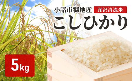 小諸市糠地産こしひかり「深沢清流米」5kg　長野 信州 コシヒカリ 精米 美味しいお米 お取り寄せ おこめ 白米