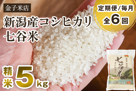 【令和7年産】【定期便6ヶ月毎月お届け】老舗米穀店が厳選 新潟県加茂市産コシヒカリ「七谷米」精米5kg 〈順次出荷〉 従来品種 金子米店