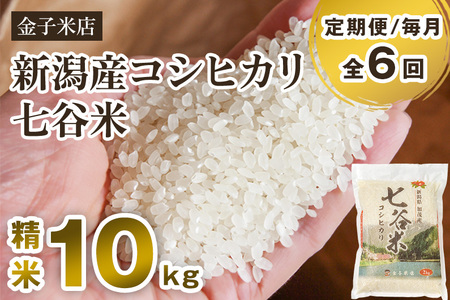 【令和7年産】【定期便6ヶ月毎月お届け】老舗米穀店が厳選 新潟県加茂市産コシヒカリ「七谷米」精米10kg（5kg×2）〈順次出荷〉 従来品種 金子米店