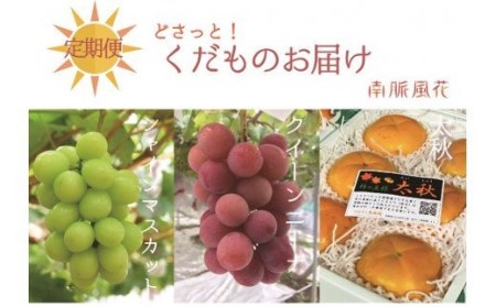 【通年受付】年３回フレッシュフルーツ定期便（クイーンニーナ、シャインマスカット、柿）ALPAJ015　