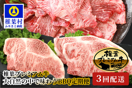 【定期便3回】総重量1.8kg 椎葉プレミアム牛 大自然の中で味わうBBQ定期便≪焼き肉・ステーキ≫ 国産牛 黒毛和牛 和牛 牛肉 赤身 肉 サーロイン ステーキ バーベキュー 焼肉 TK-60