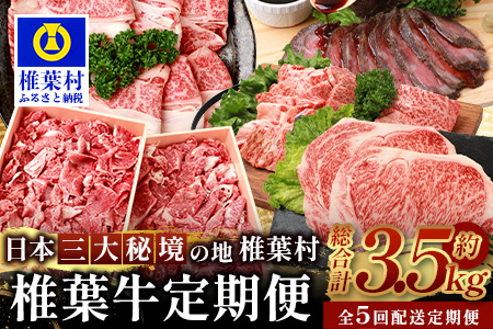 【定期便5回】総重量3.5kg！椎葉牛オールスター定期便≪ローストビーフ・切り落とし・焼き肉・スライス・ステーキ≫ 牛肉 定期便 A5等級指定 黒毛和牛 TK-62