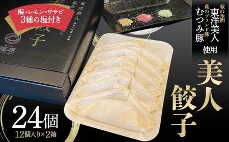萩の地酒 東洋美人と萩のブランド豚 むつみ豚を使用した 美人餃子 計24個 12個入×2箱 3種の塩付 梅塩 レモン塩 ワサビ塩 小分け むつみ豚 餃子 惣菜 おかず おつまみ 肴 ご当地 グルメ 食品 F6L-613