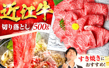 近江牛 すき焼き用 切り落し 500g 元三フード 近江牛 [BIBH005]