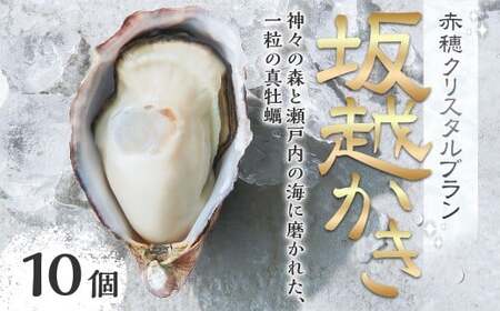 牡蠣 坂越かき赤穂クリスタルブラン10個 カキ 牡蠣 かき 海の幸 魚介 貝【2026年6月下旬～2026年10月下旬まで発送予定】