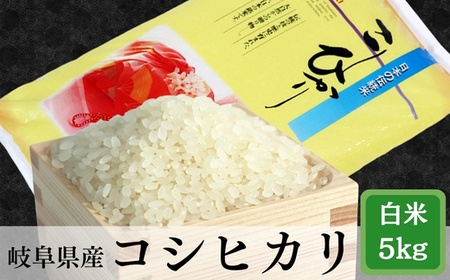 ≪令和7年産≫ 岐阜 コシヒカリ 約5kg