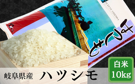 ≪令和7年産≫ 岐阜 ハツシモ 約10kg
