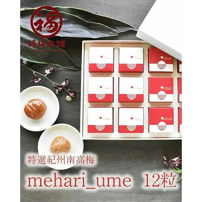 紀州南高梅　超大粒　mehari_ume12粒