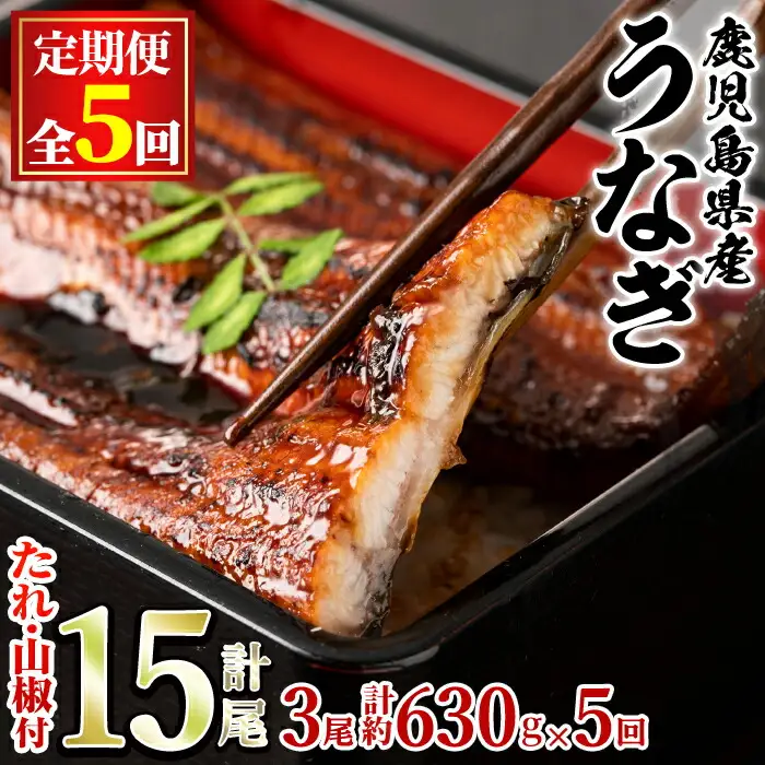 ＜定期便・全5回＞東串良町 うなぎ 蒲焼 (無頭)(3尾・計約630g・タレ、山椒付×5回) 高級 ウナギ 鰻 国産 たれ 鹿児島 ふるさと 人気【アクアおおすみ】【1004306b】