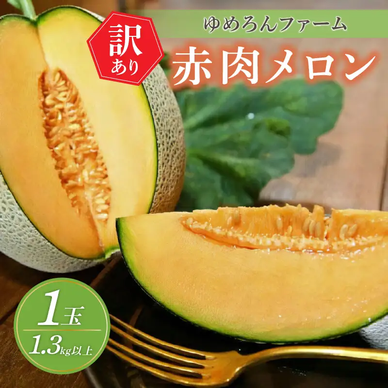 【数量限定100】ゆめろんファームの赤肉メロン（訳あり品）（2026年6月上旬～発送） 国産 ふるさと 納税 メロン 赤肉 1玉 ふるさと 納税 期間限定 ふるさと 納税 訳あり 規格外 フルーツ