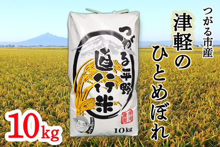 令和7年産 つがる市産「津軽のひとめぼれ」10kg [0897]