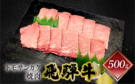 飛騨牛トモサンカク焼肉 500g（4～5人前）【70-6】 