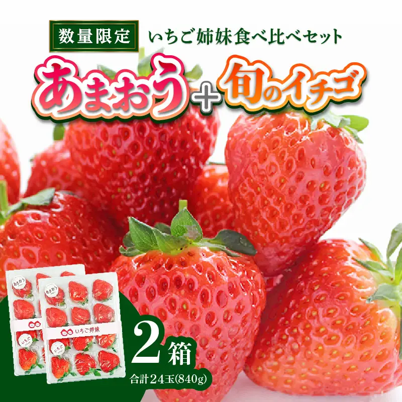 ＜2027年1月～順次発送＞いちご姉妹【あまおう＋旬のイチゴ】食べ比べセット★数量限定★ あまおう いちご 苺 イチゴ フルーツ 果物 くだもの 人気 旬 福岡県産 食べ比べ 採れたて 2品種 セット 冷蔵配送 箱入り 贈答品 プレゼント 贈り物 産地直送 福岡県 八女市 090-003