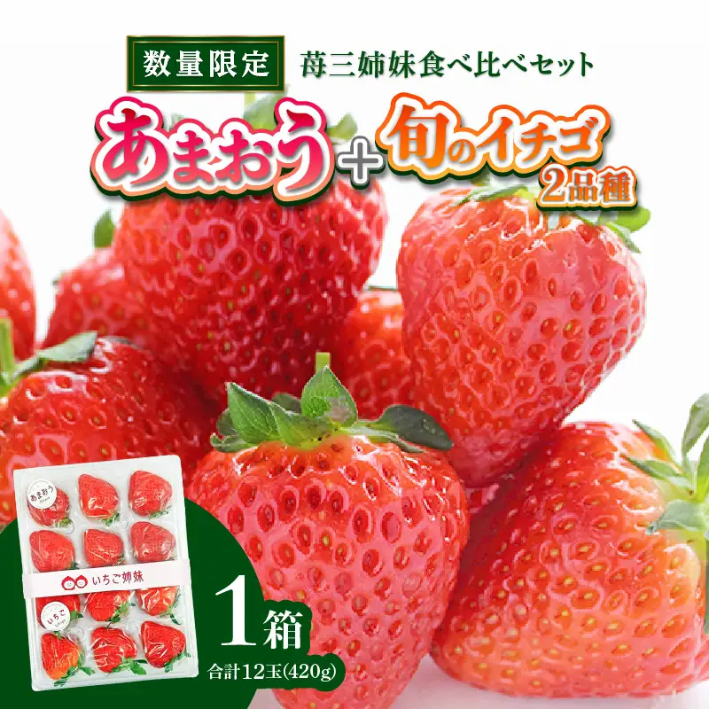 ＜2027年1月～順次発送＞苺三姉妹【あまおう＋旬のイチゴ2品種】食べ比べセット★数量限定★ あまおう いちご 苺 イチゴ フルーツ 果物 くだもの 人気 旬 福岡県産 食べ比べ 採れたて 3品種 セット 冷蔵配送 箱入り 贈答品 プレゼント 贈り物 産地直送 福岡県 八女市 090-004