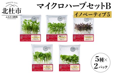 【マイクロハーブ セット（B）／イノベーティブ5】 [h173]