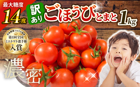 訳あり トマト ごほうびとまと 1kg トマト