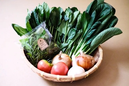 【2026年7月より順次発送】曽爾高原夏野菜５種５品３ヶ月定期便