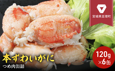 缶詰 かに 本ずわいがに つめ肉 120g × 6缶 セット
