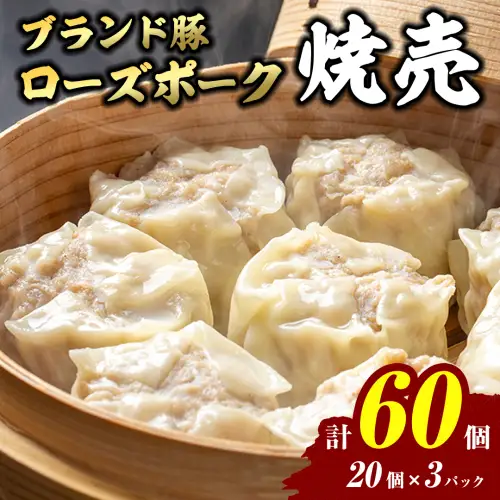 焼売 ローズポーク焼売 60個 冷凍 焼売 焼売 焼売 焼売 焼売 焼売 焼売 焼売