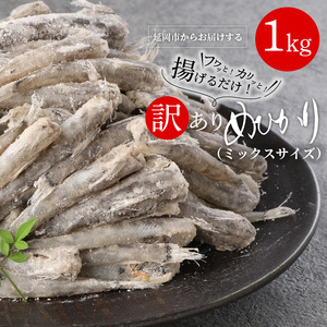 訳あり唐揚げ用 めひかり 1kgサイズ不揃い簡単揚げるだけ! ミックスサイズ 簡単調理 下処理済み 郷土料理 日向灘 国産 魚 骨 柔らかい おつまみ 揚げるだけ 南蛮漬け 九州 宮崎県 延岡市 グルメ お取り寄せ お取り寄せグルメ 冷凍 送料無料 N065-YA0375
