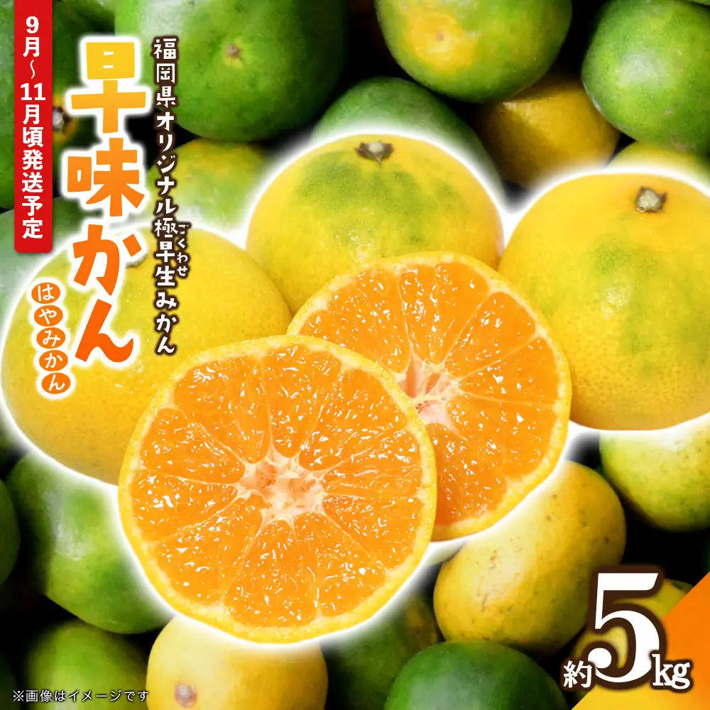 【先行受付】2026年の秋に配送！福岡県オリジナル品種極早生みかん『早味かん』約5kg＜配送不可：北海道・沖縄・離島＞ 果物 フルーツ ミカン おいしい 八女 072-001