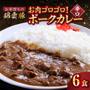【ブランド豚肉】お米育ちの錦雲豚　お肉ゴロゴロ！ポークカレー（辛口）6食_FN1102