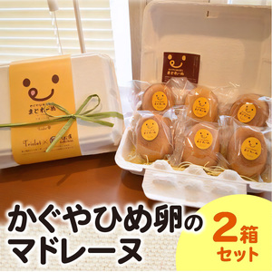 かぐやひめ卵のマドレーヌ ２箱セット_KT0202