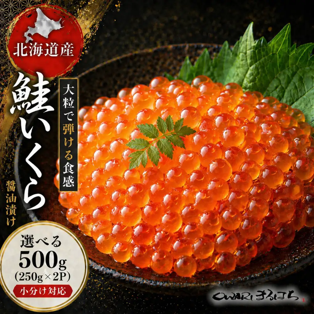 いくら 醤油漬け 500g（250g×2P） 北海道 鮭卵 訳あり 化粧箱入 冷凍 尾張まるはち