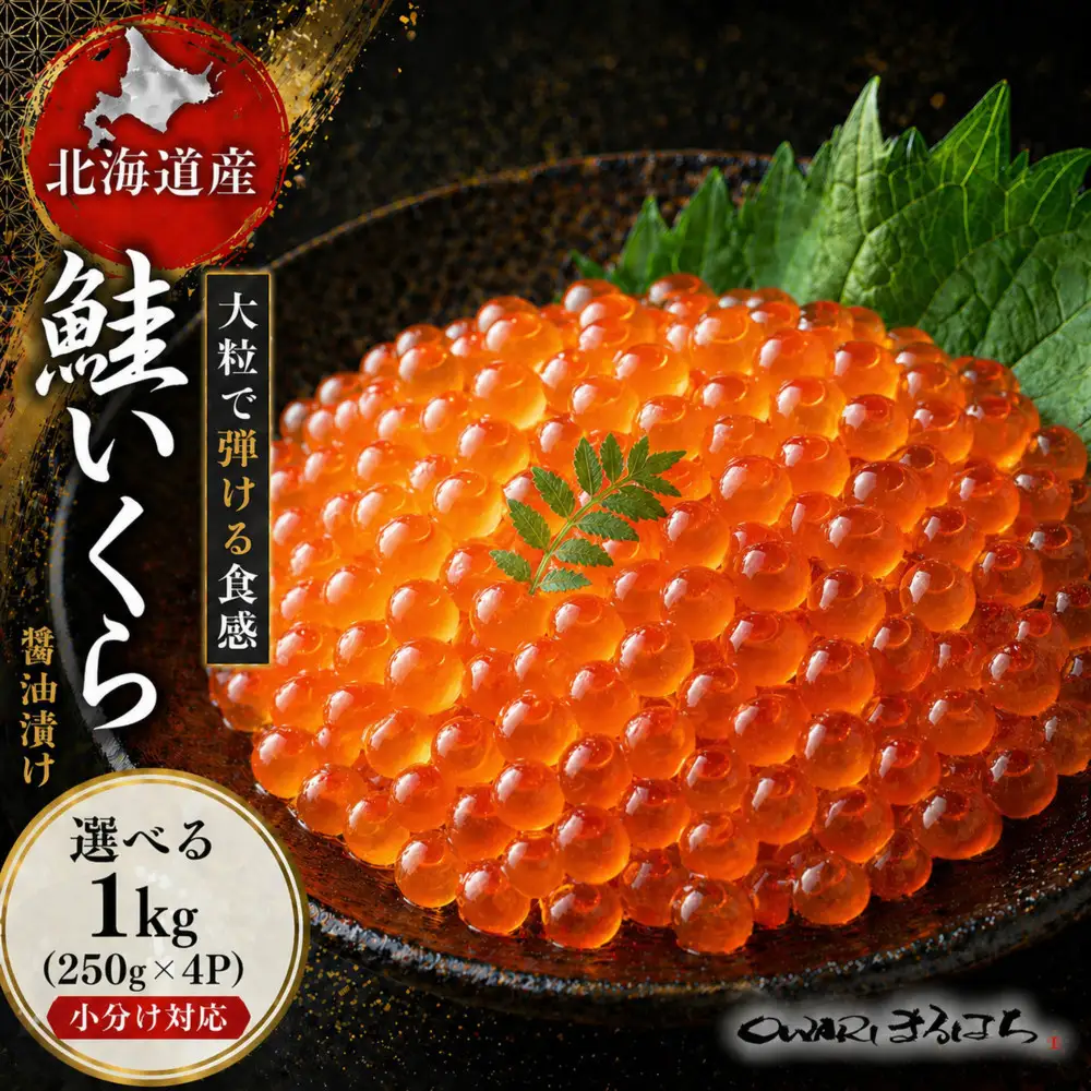 いくら 醤油漬け 1kg（250g×4P） 北海道 鮭卵 訳あり 化粧箱入 冷凍 尾張まるはち