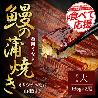 本気の高知ブランド鰻「西岡うなぎ」～上（大サイズ）～うなぎの蒲焼き2尾セット（約330g）タレ・山椒付き